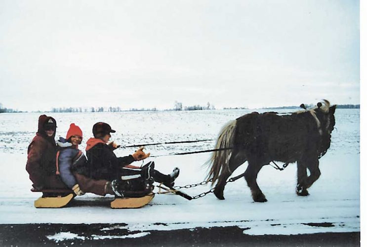Horsepower gives sledding an old-fashioned flavor